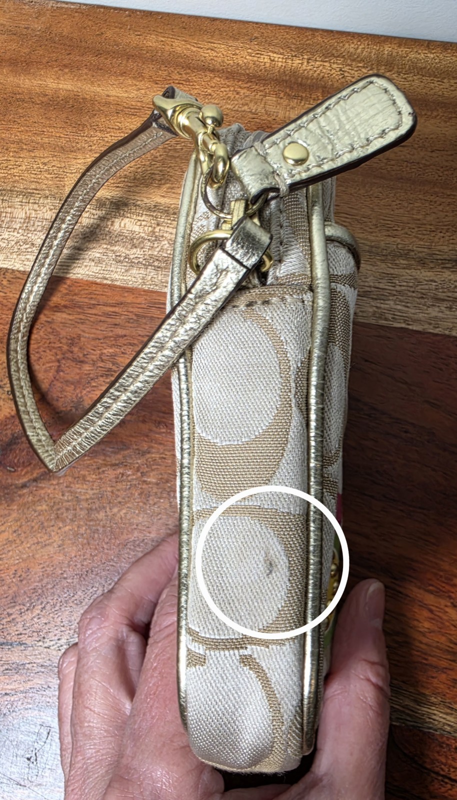 Vintage Y2K Coach Poppy “Digi Pouch” / Camera Case Wristlet