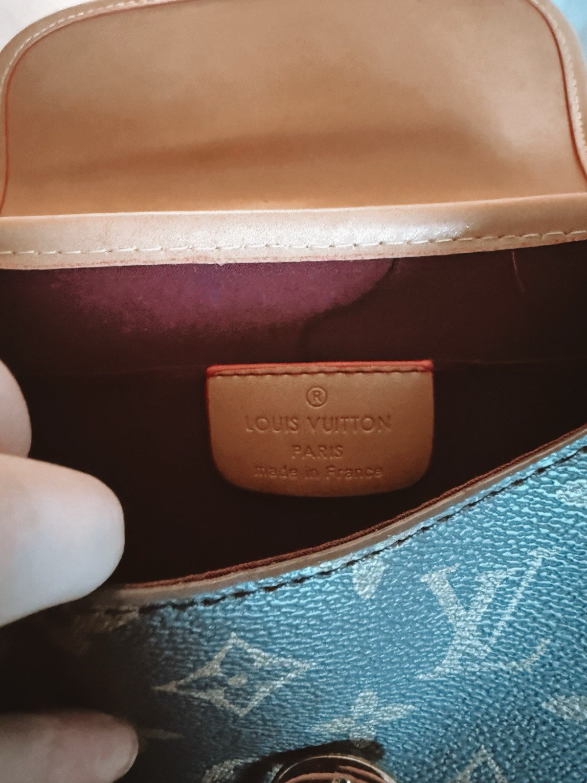 Louis Vuitton Diane Monogram Brown Crossbody Bag Buckle Closure Detachable Strap