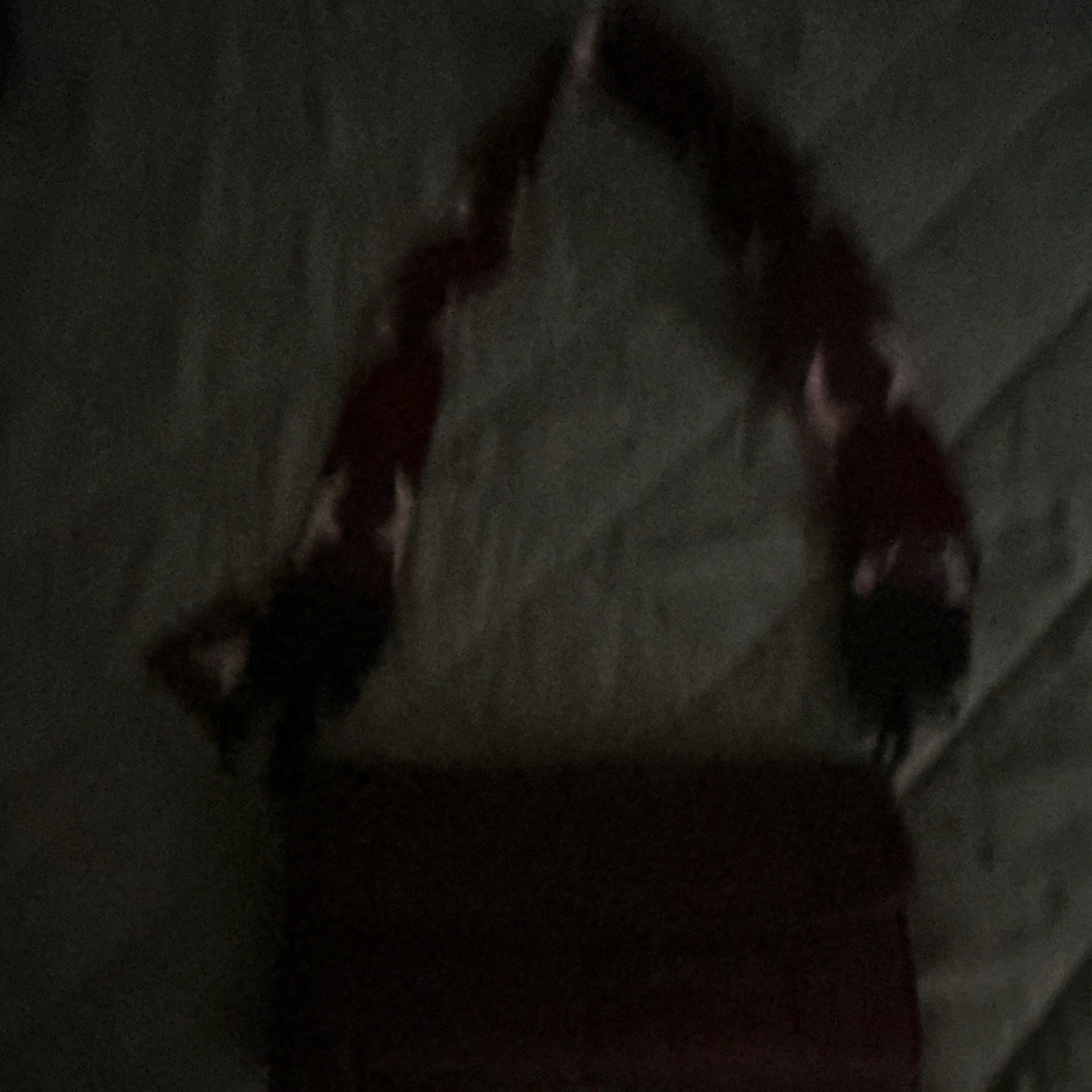 Red Quilted Shoulder Bag Medium Rectangle Snap Closure Pockets Silver Hardware