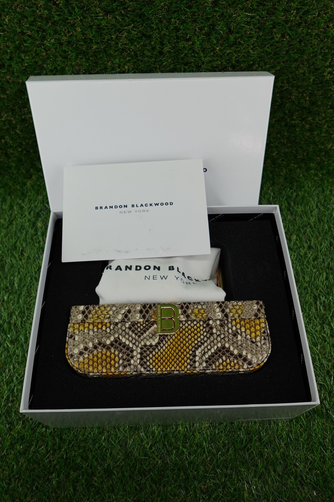 Brandon Blackwood Vanity Purse Python Snakeskin Small Gold Handle Studded