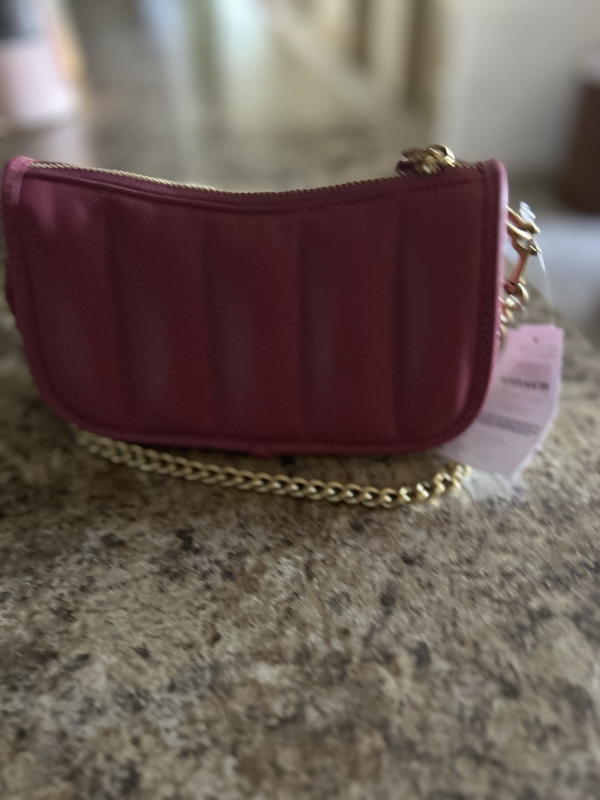 NWT COACH Swinger 20 Quilting Chain Strap Shoulder Bag In ROUGE Leather Brass