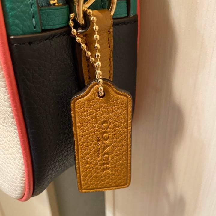 COACH Jes Double Zip Camera Bag Chalk Pebble Leather Rainbow Strap 9.6×6.3 inch
