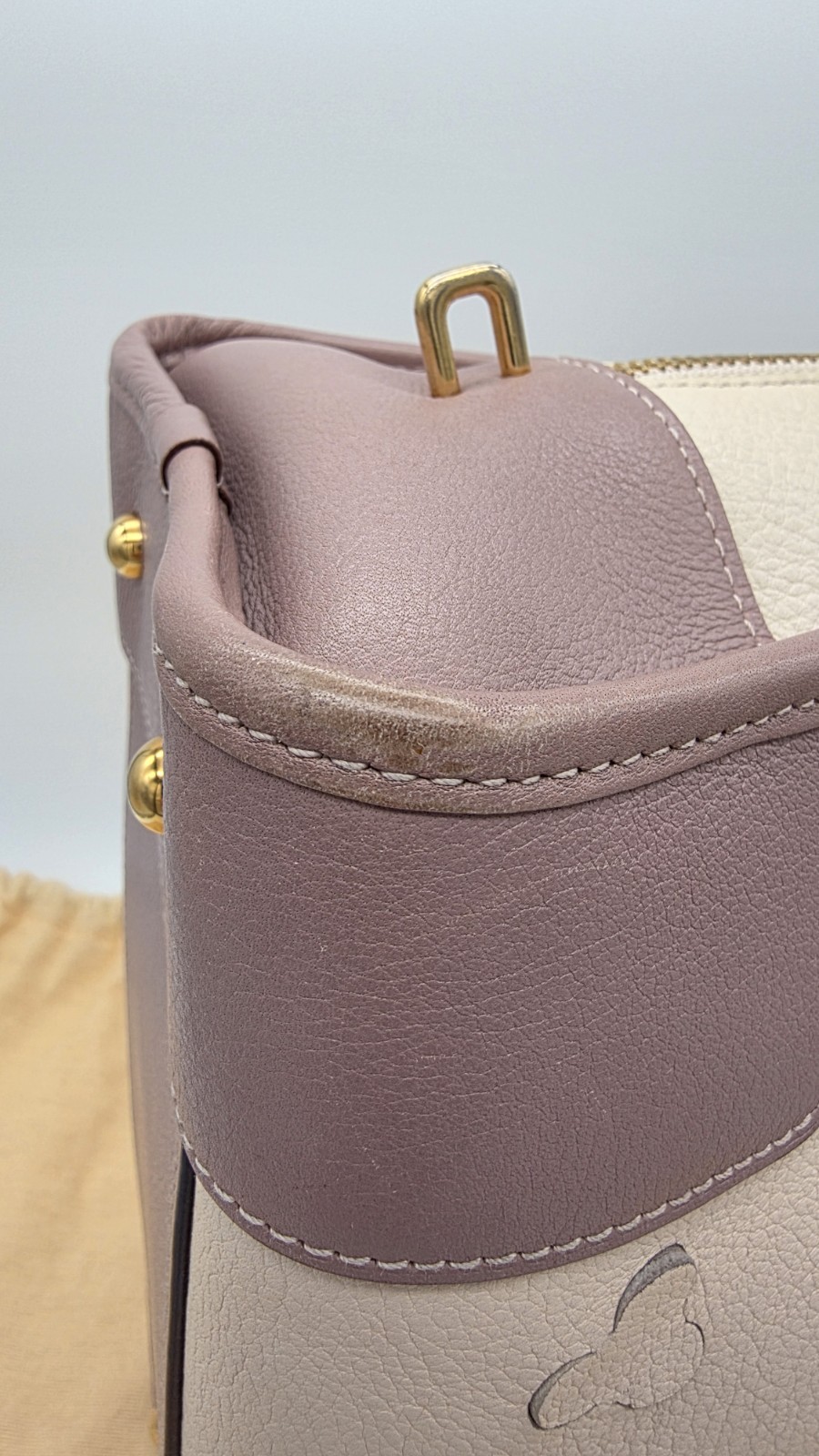 [RARE] Loewe Limited Edition Cherry Blossom Amazona 28