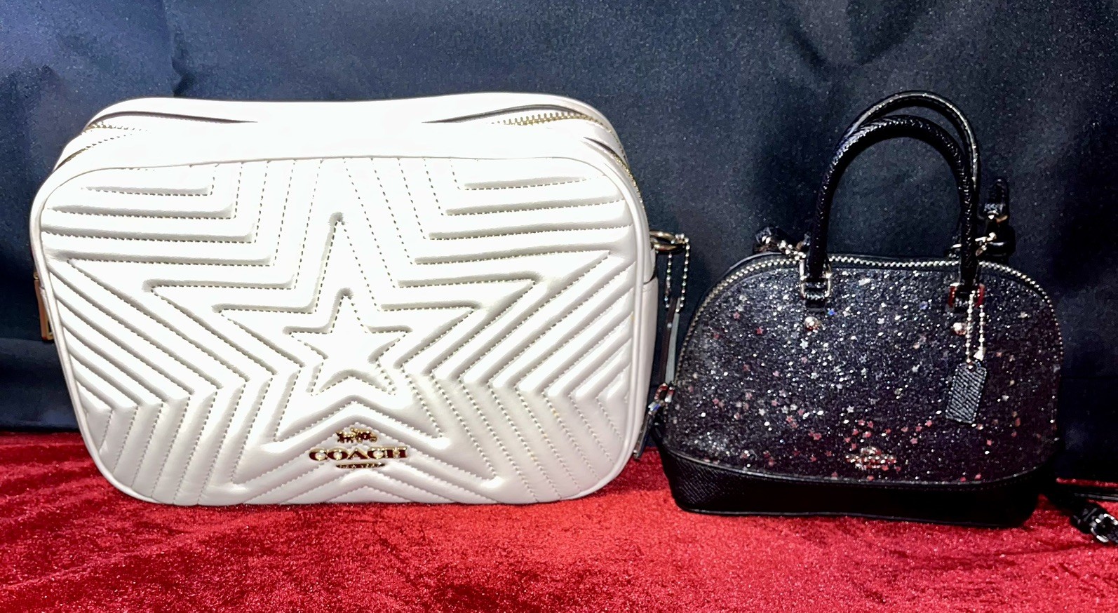 Coach Jes Bag With Star Quilting Napa Leather F22881/Coach Sierra F122891
