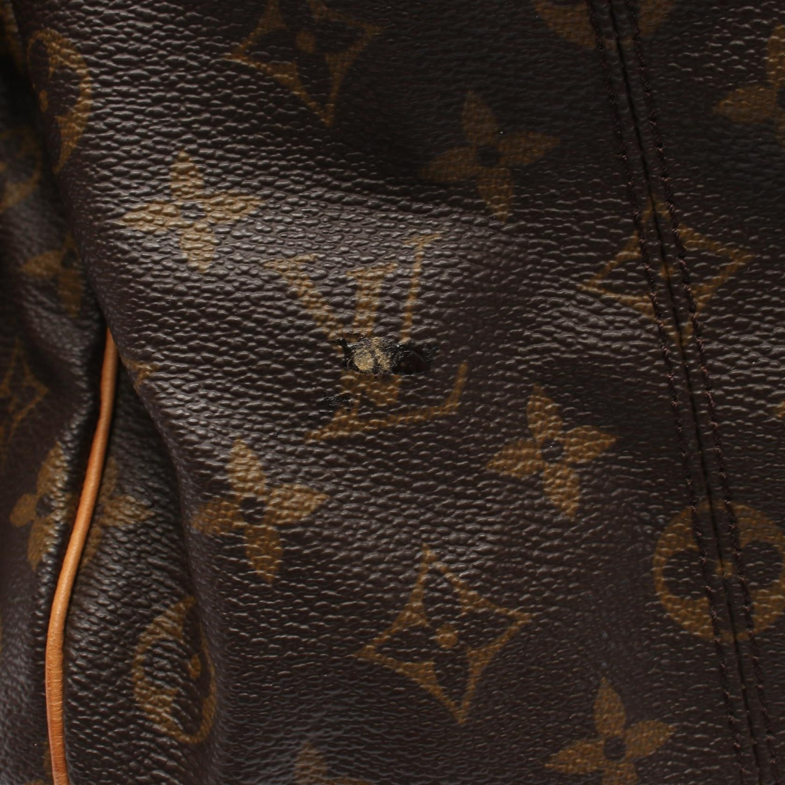 Louis Vuitton Irene M47927 Leather Canvas Bag Brown