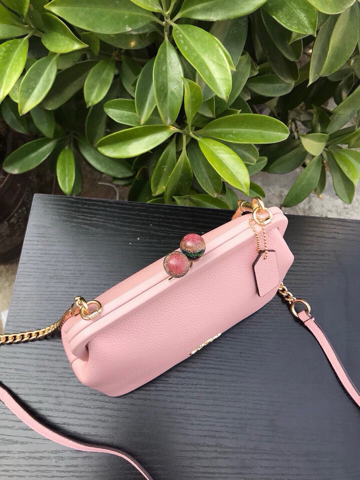 COACH LTH NORA KISSLOCK C1451 Carnation