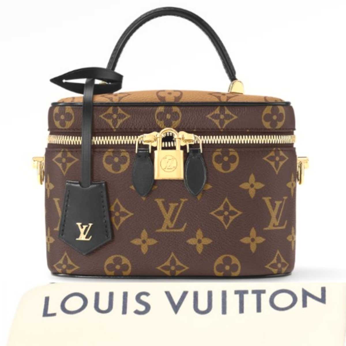 LOUIS VUITTON Monogram Vanity NV PM Shoulder Bag Monogram canvas Brown M45165