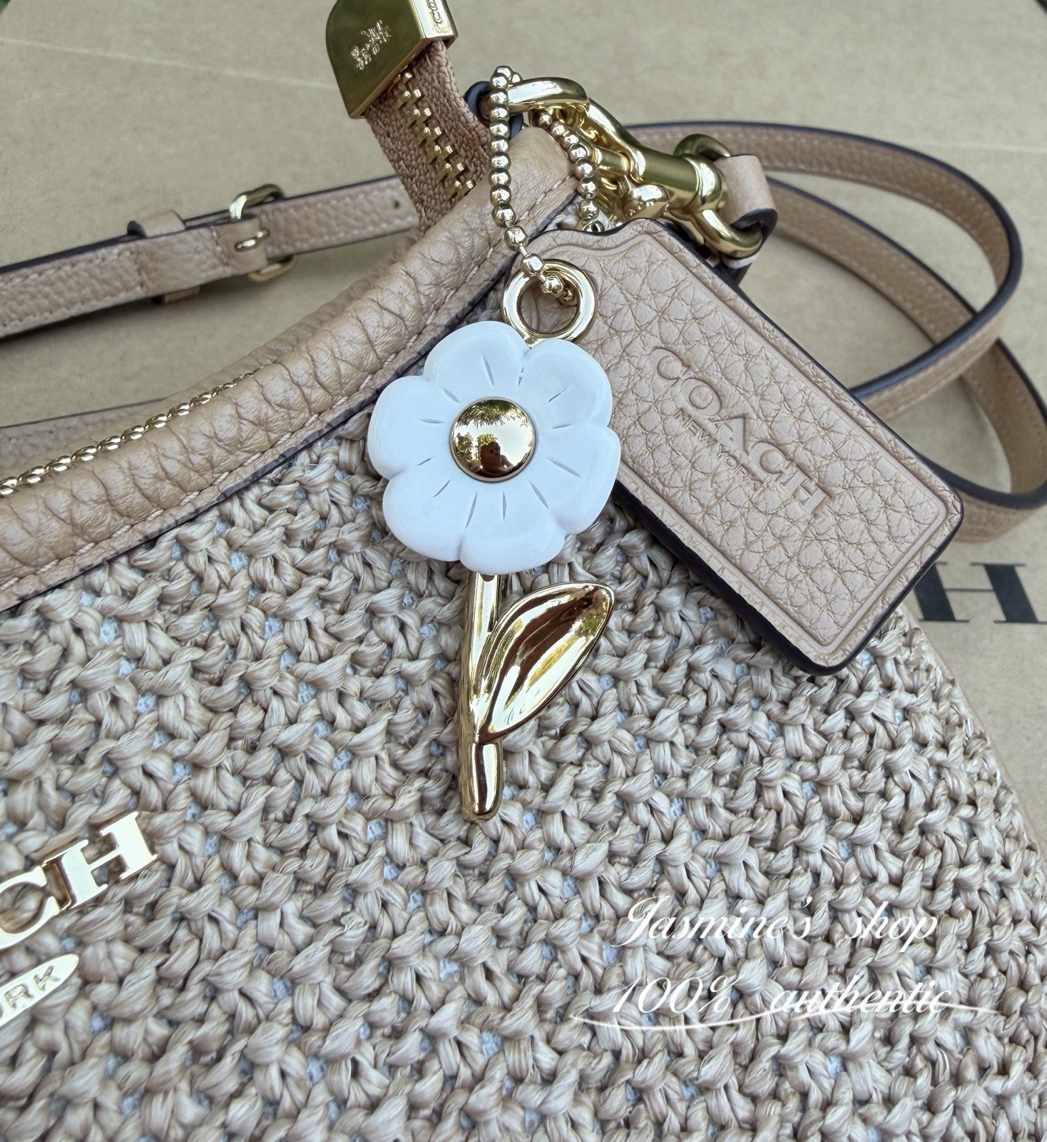 NWT Coach Teri Mini Crossbody Bag CDW66 straw/Gold/Toast
