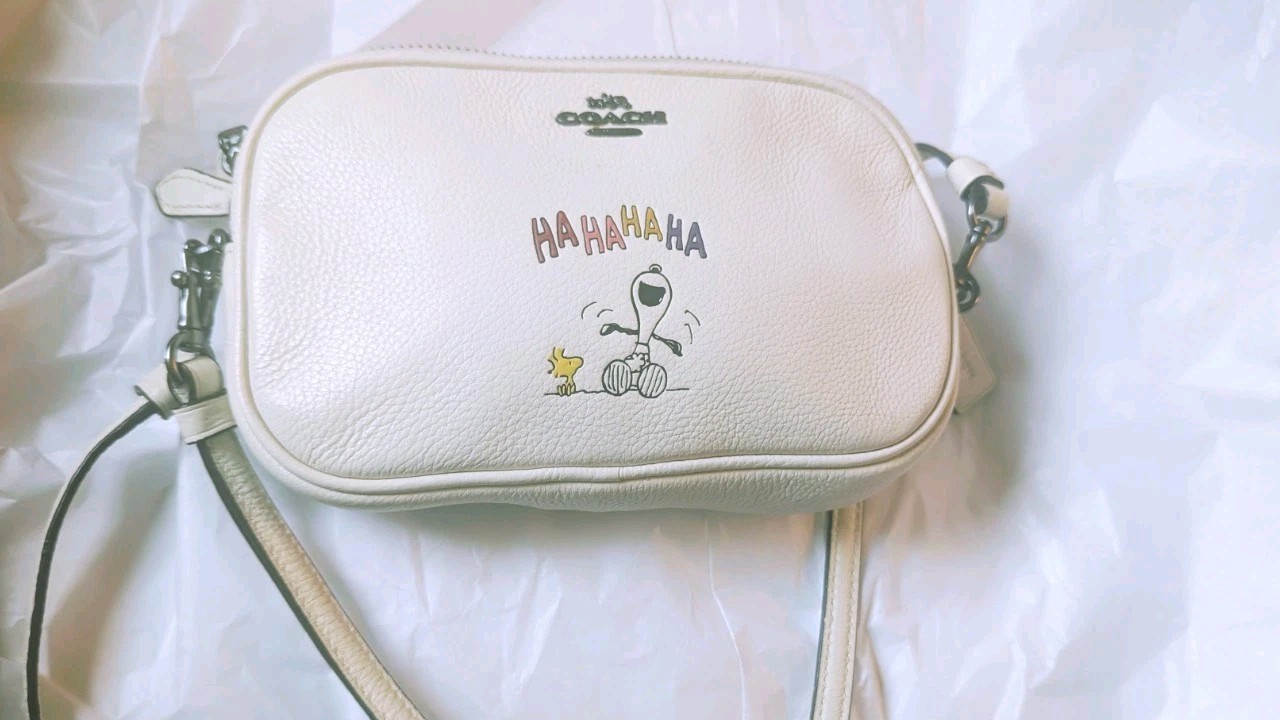 Coach X Peanuts Snoopy Crossbody Wristlet 21817
