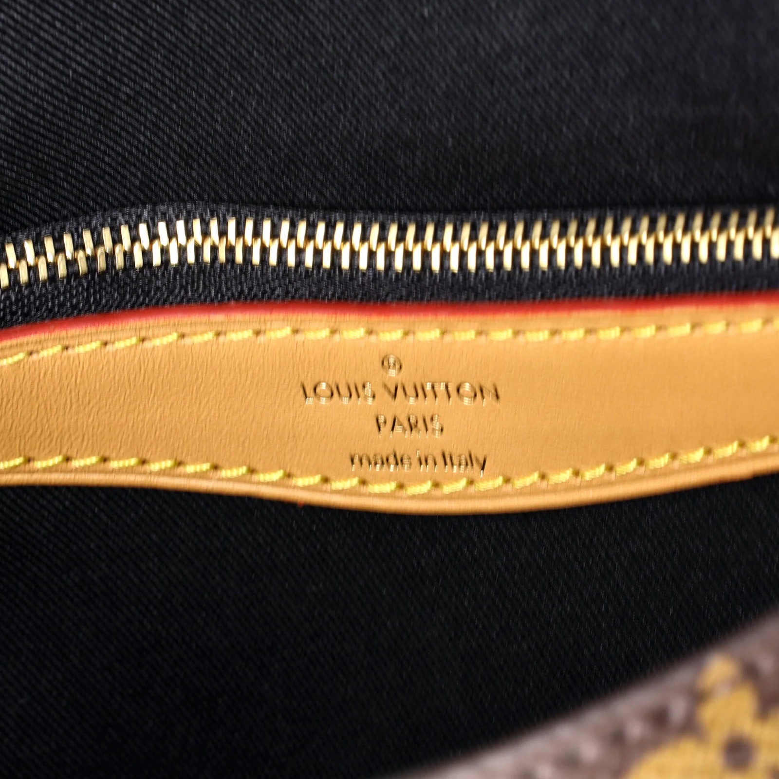 Louis Vuitton Diane NM Handbag Monogram Canvas