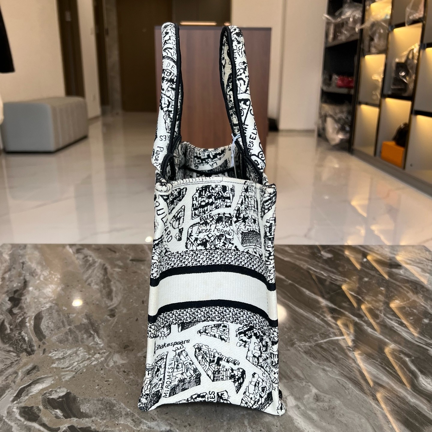 Christian Dior Book Tote White Black Plan de Paris Tote Bag Canvas Authentic