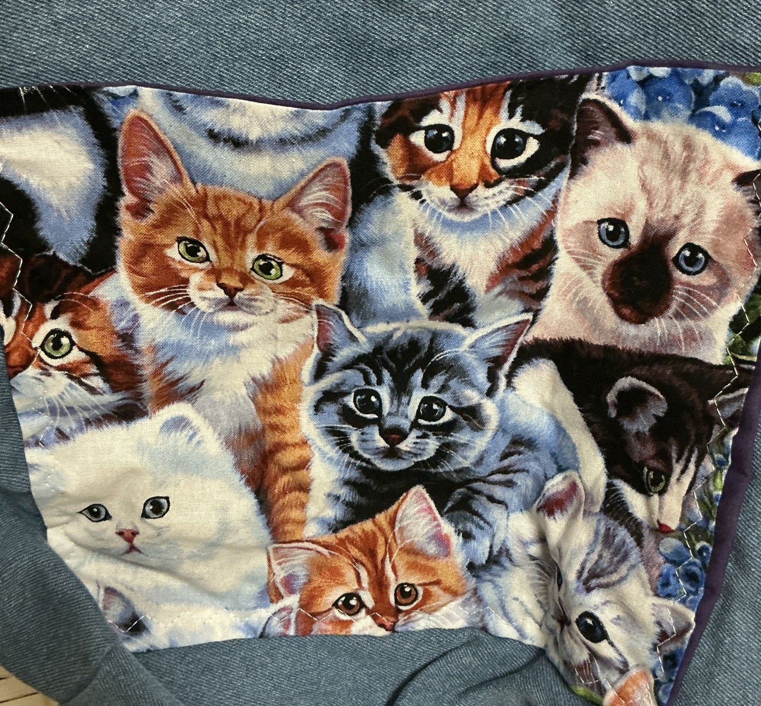 Lidias Bags Handmade Denim Tote Bag Kittens Cats Puppies Dogs Prints