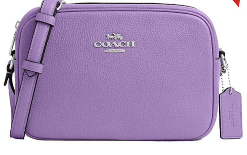 Coach Silver/Iris Jamie Refined Pebble Leather Camera Bag (CR110) – NWT