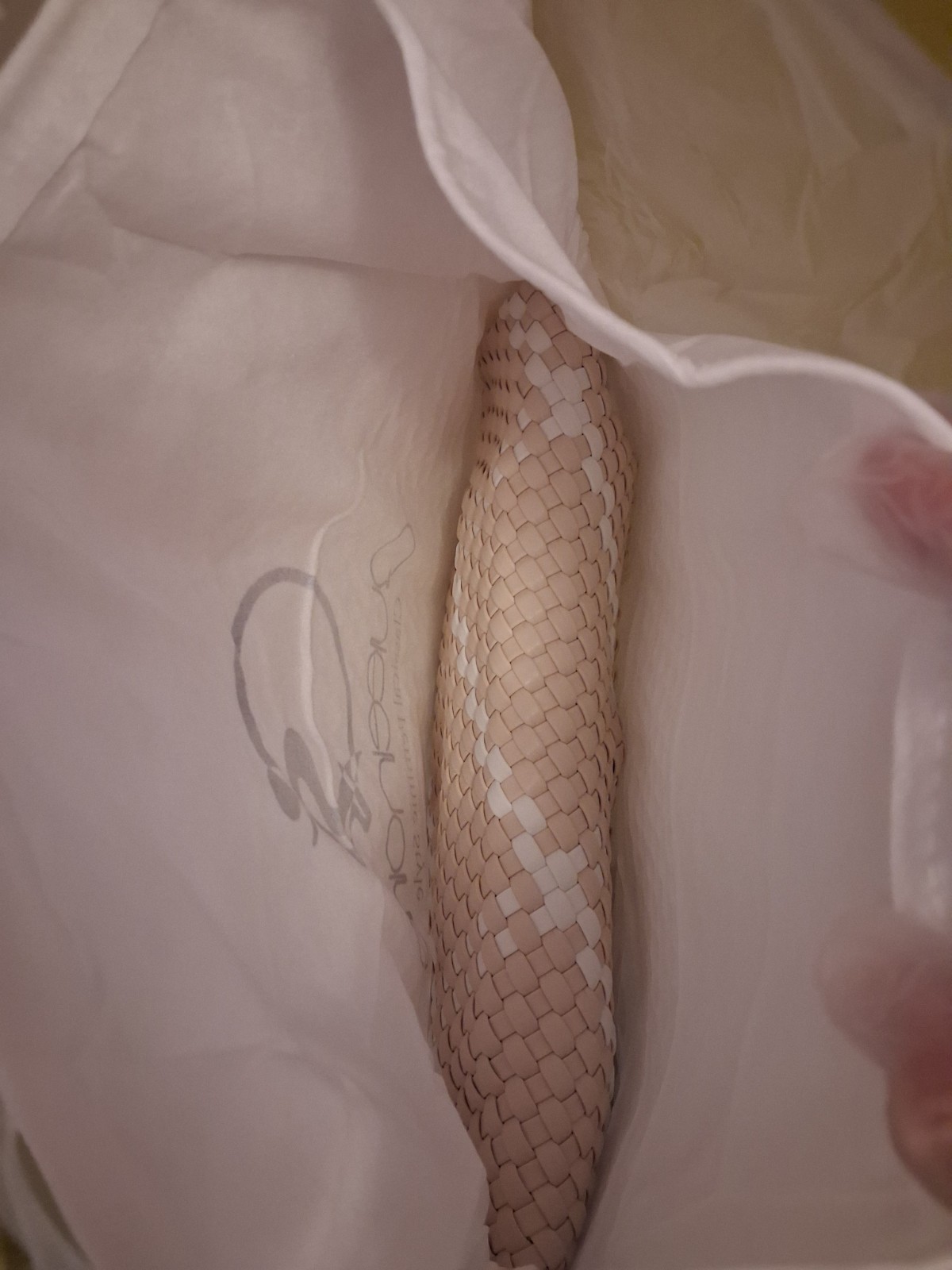 Queenoris Woven Tote Bag Beige White Top Handle Handbag with Pouch
