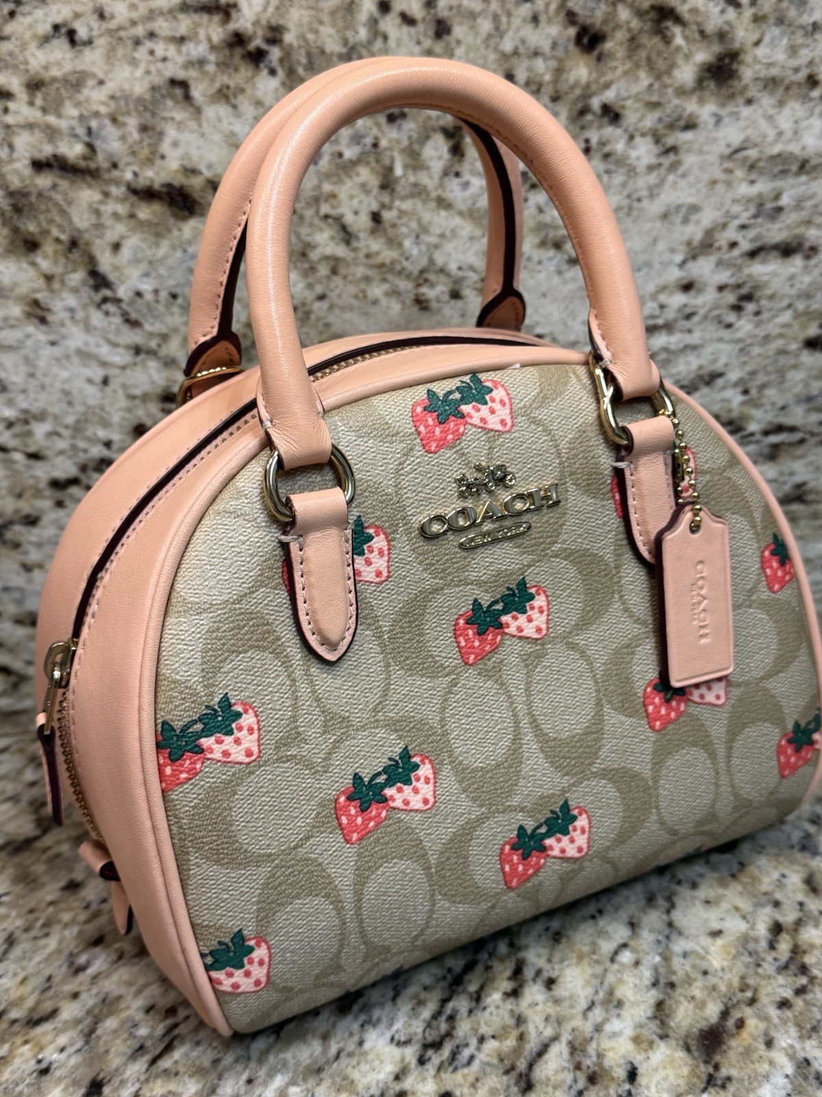 Coach Sydney Satchel In Signature Canvas With Strawberry Print CB596