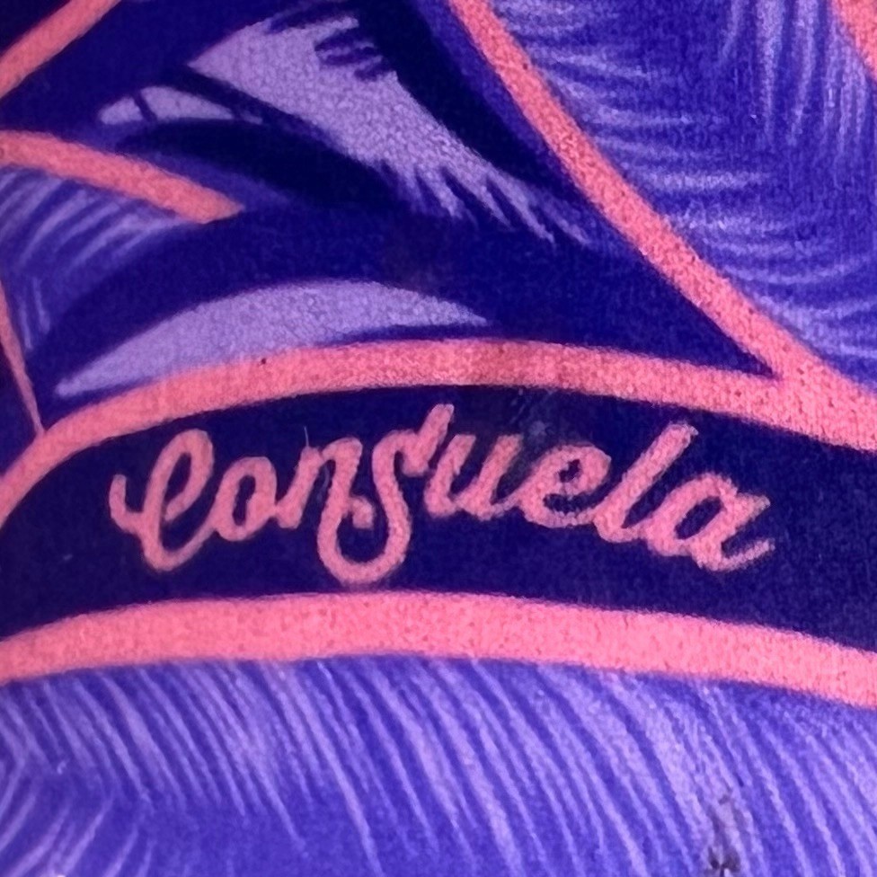 Consuela Sallie Grab-n-Go Mini Tote Bag Purple Pink Floral Water Resistant