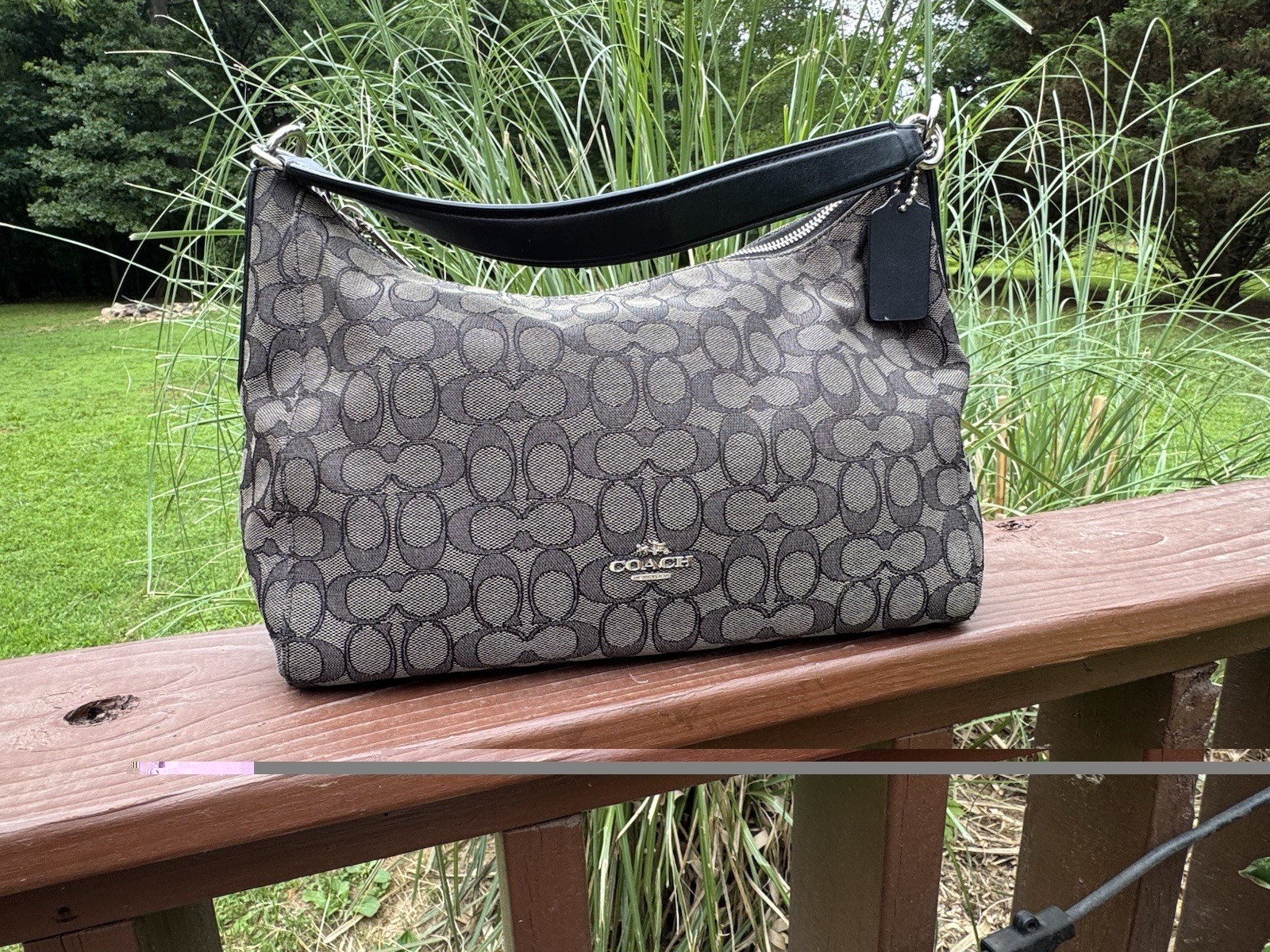 Coach Jacquard Celeste Convertible Hobo Bag F58284