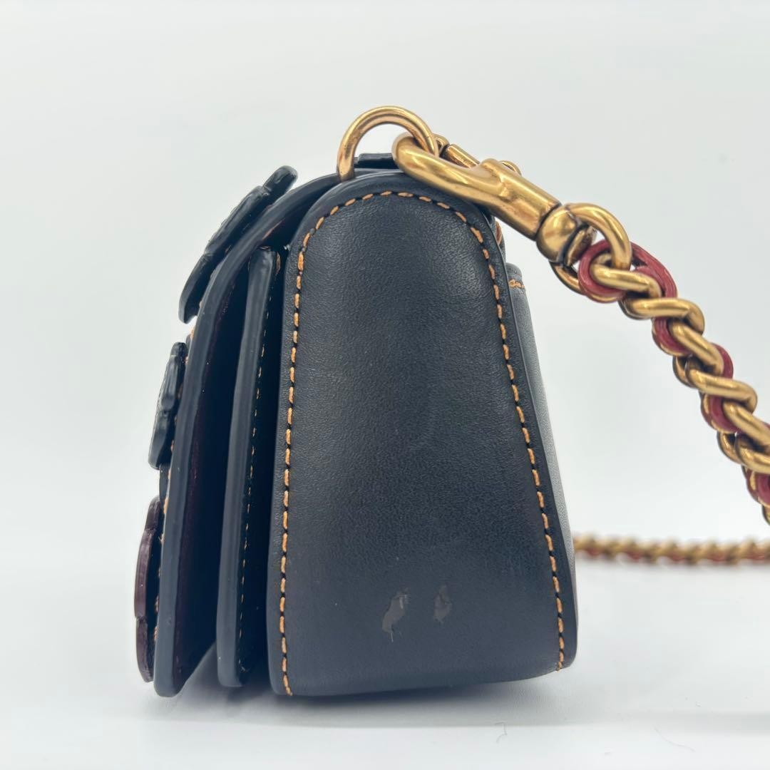 COACH shoulder bag Dinky Tea Rose leather 10510 chain from Japan