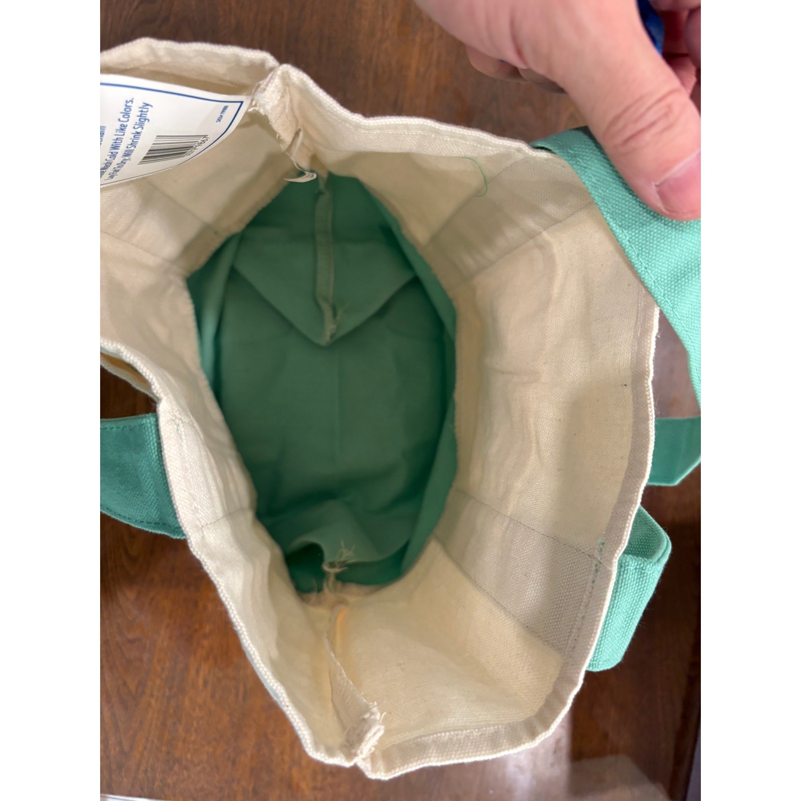 Trader Joe’s Mini Pastel Canvas Tote Bag Mint Green Cream Limited Edition NWT