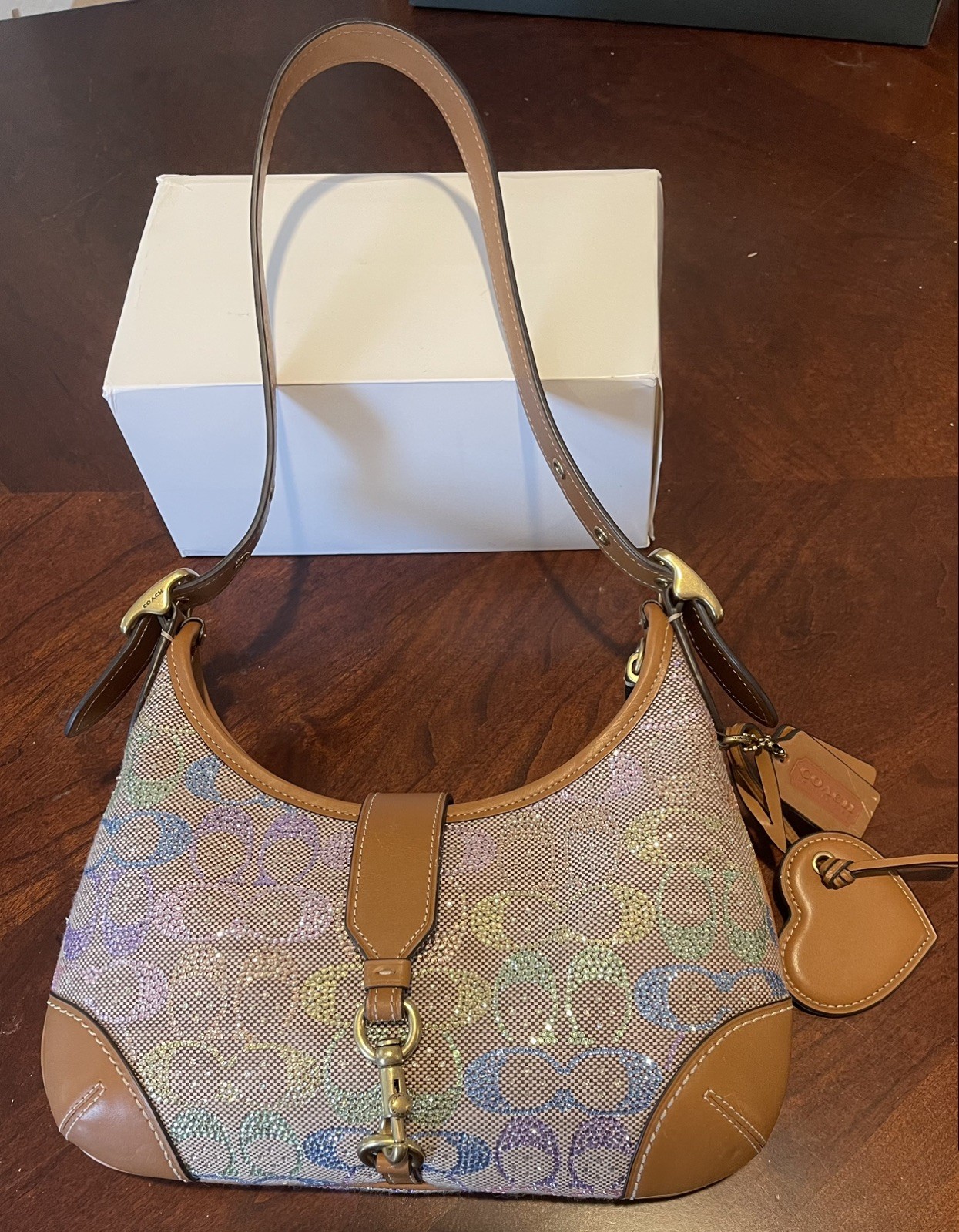 Pre-owned Coach Hamptons Hobo Bag Crystal Signature Jacquard Rainbow CCX16