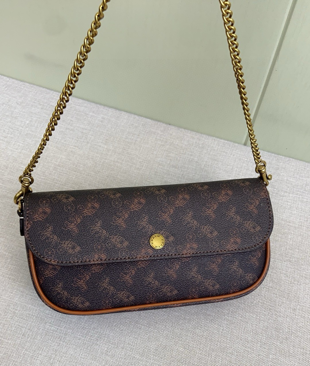 Coach Brooke Flap Chain Bag Horse and Carriage Print CAN92