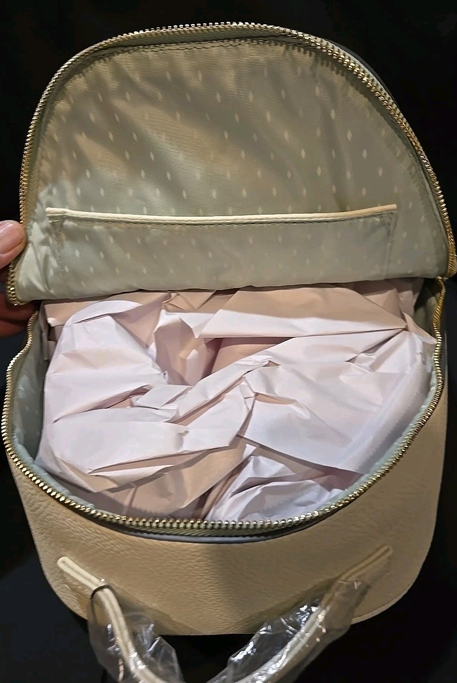 Vanessa Williams Mini Backpack w/Matching Wallet & Cosmetic Case – NEW WITH TAGS