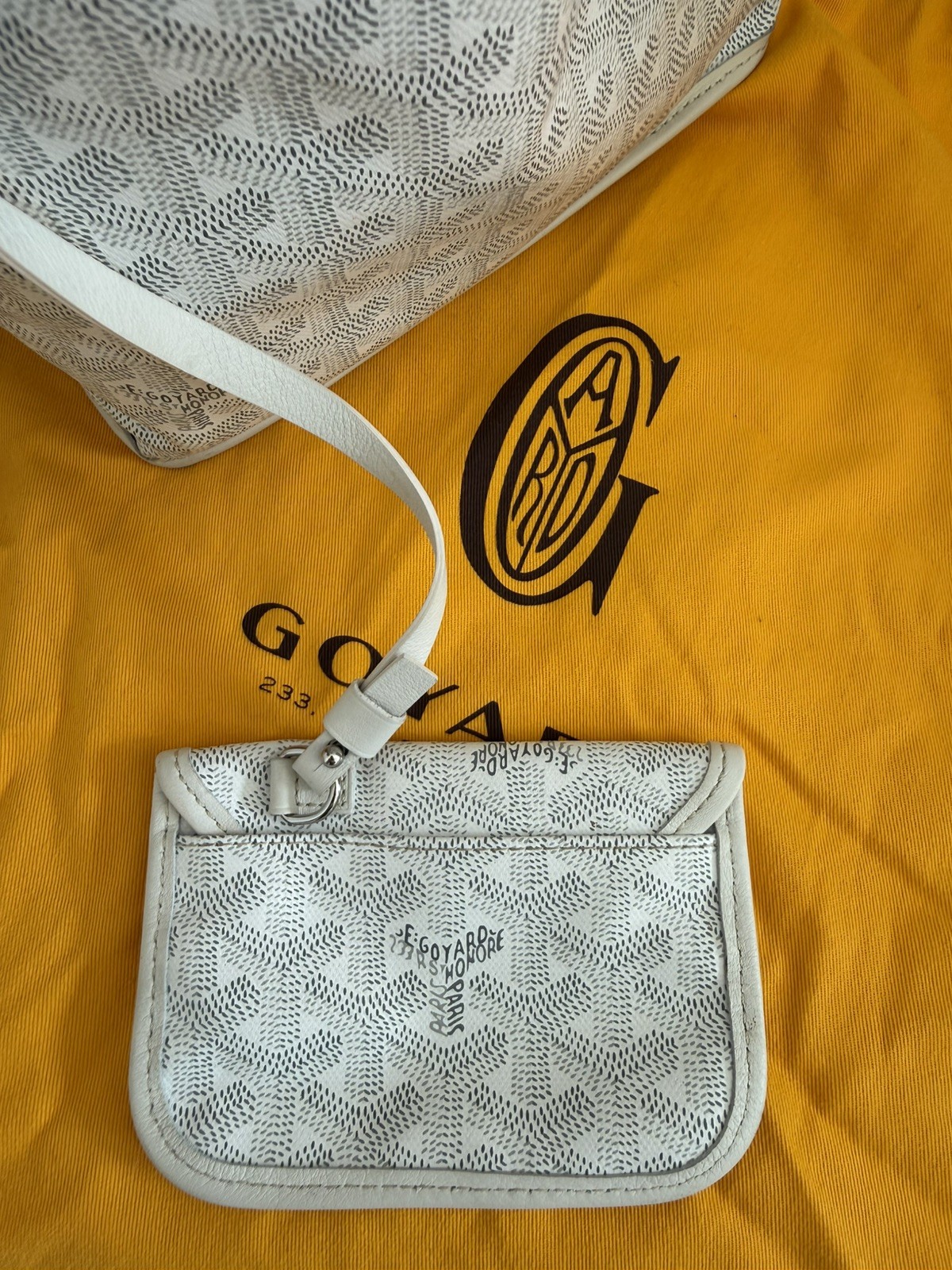 rare Goyard mini Anju tote 2025