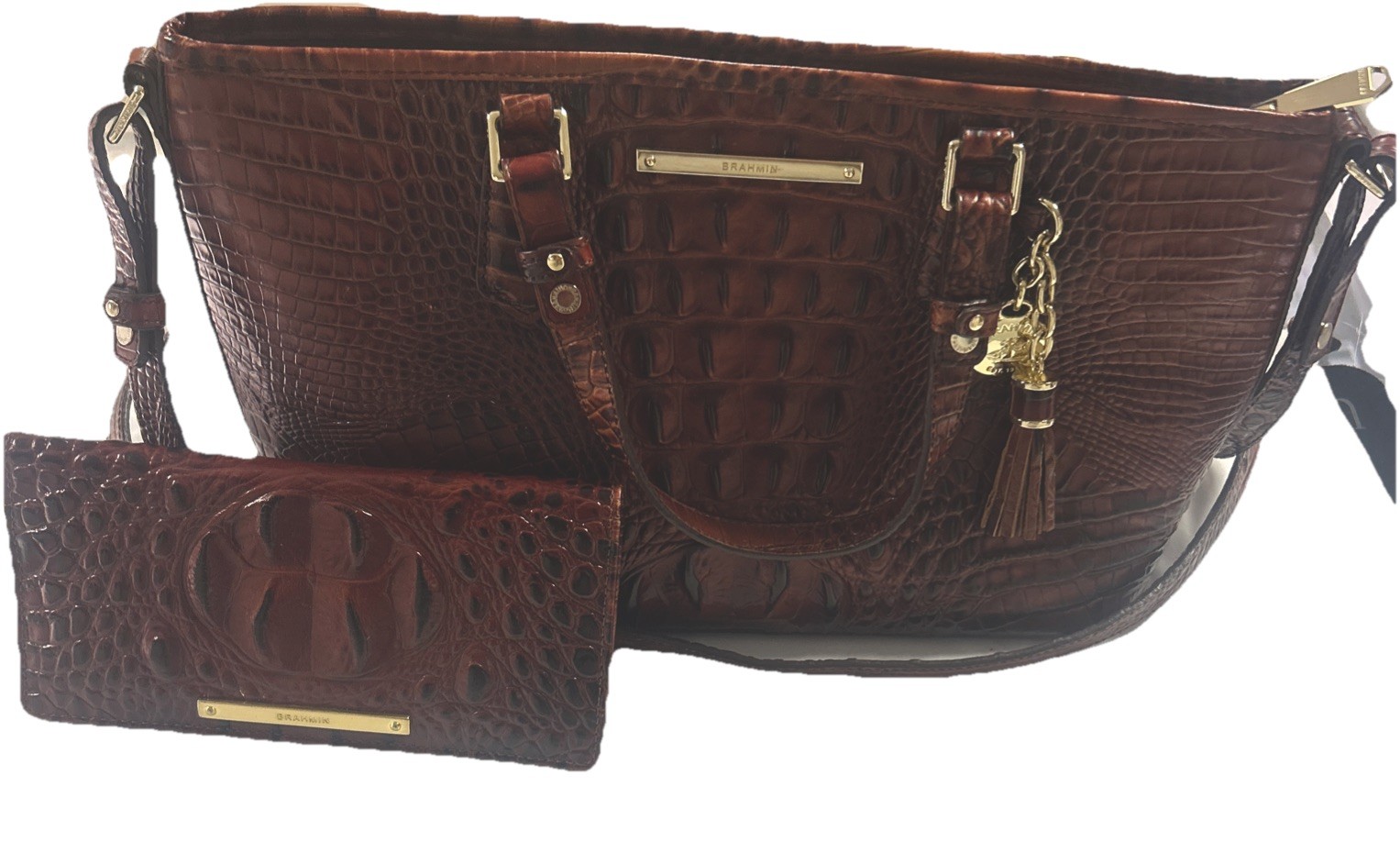 🌹Brahmin Aubree Satchel Infrared Leather Carryall Bag + Wallet +Tassel