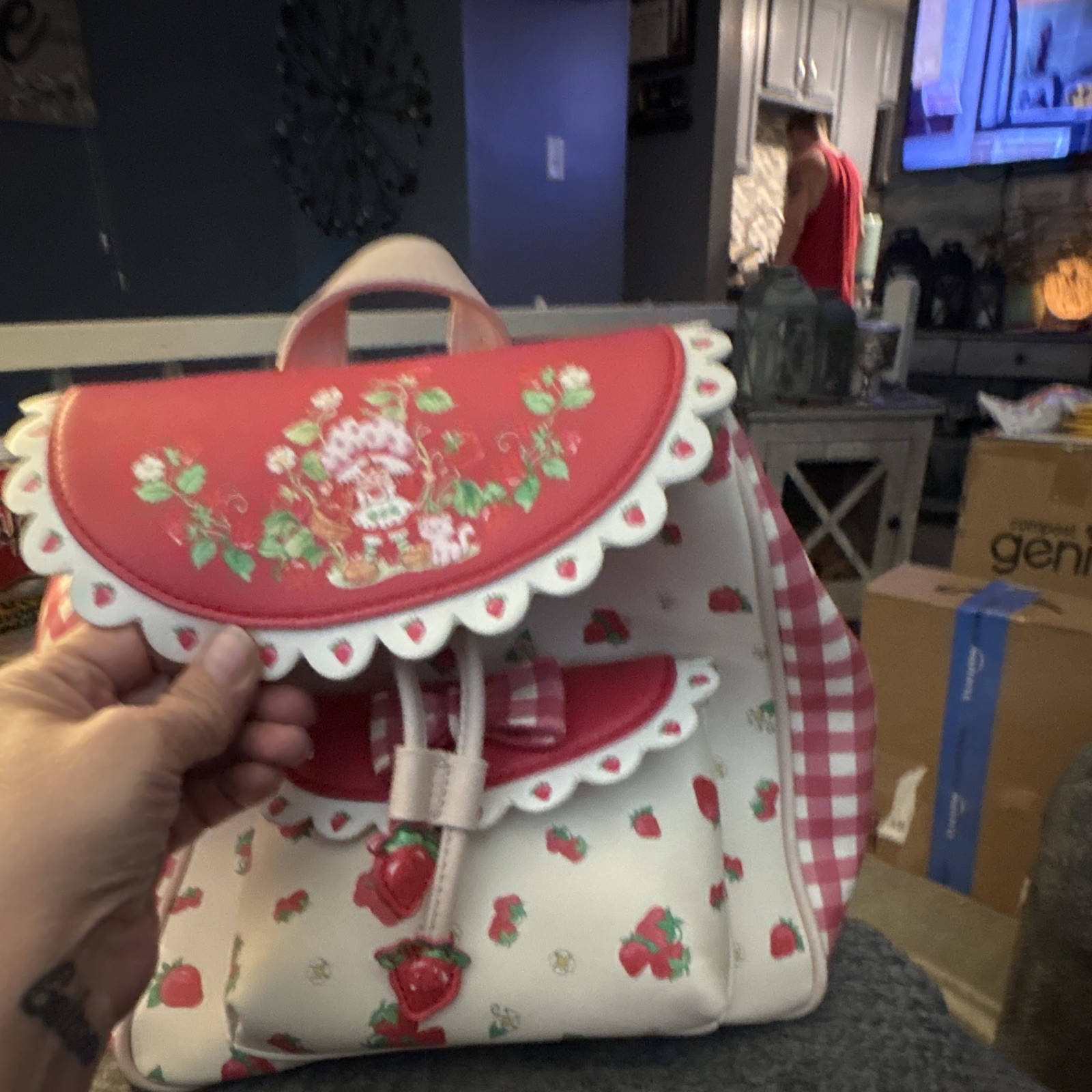 Strawberry Shortcake Drawstring Backpack Gingham Strawberry Print w Coin Purse