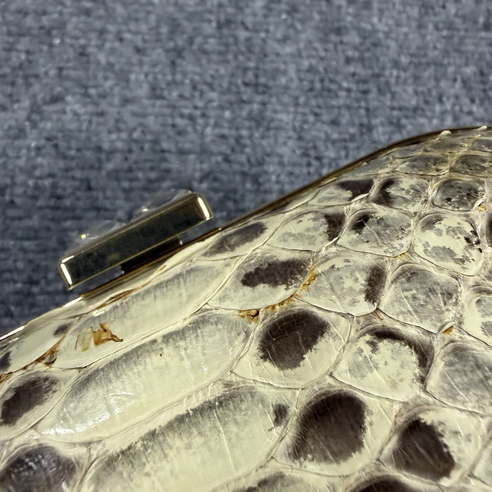 Cape Cobra Genuine Python Clasp Bag Metal Chain Strap Small Read