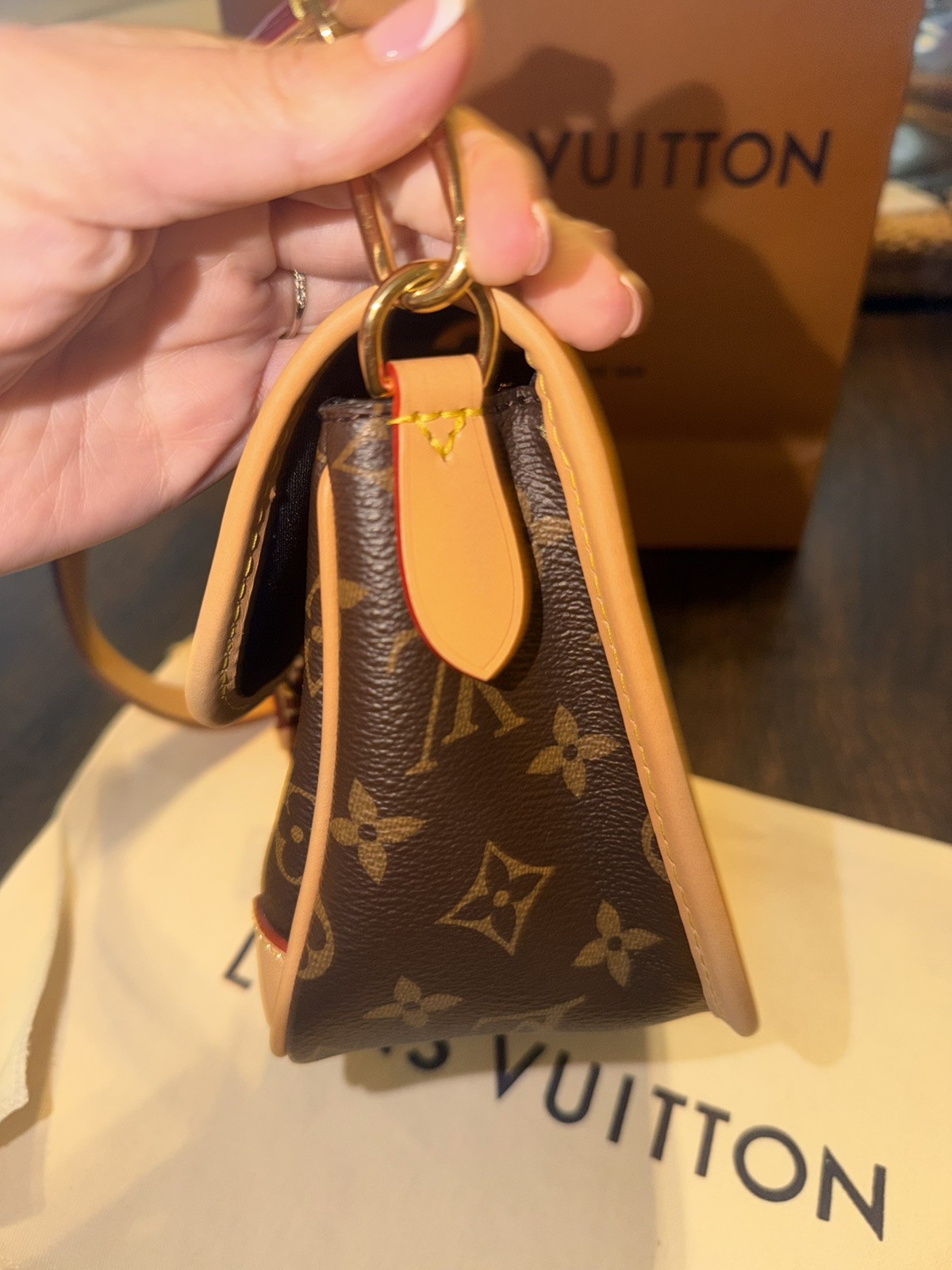 Louis Vuitton Diane Mono Shoulder/Crossbody Bag Brown Gold HW