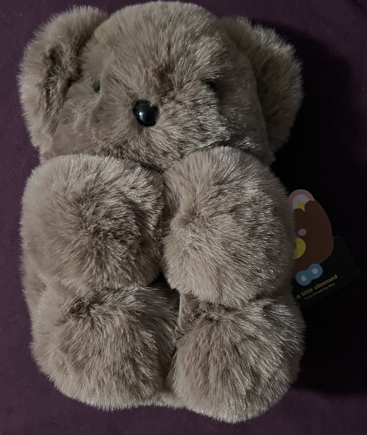 A Little Obsessed Bear Cross Body Bag No Chains Included. Never Used with Tags