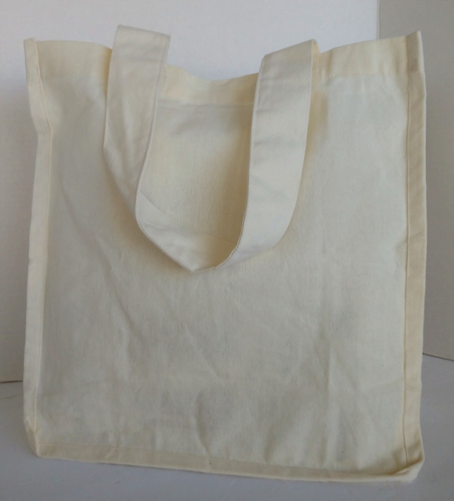 Hummingbird Tote Bag , Canvas Bag With Hand Drawn Bird in Flowers 14x13x7 inches