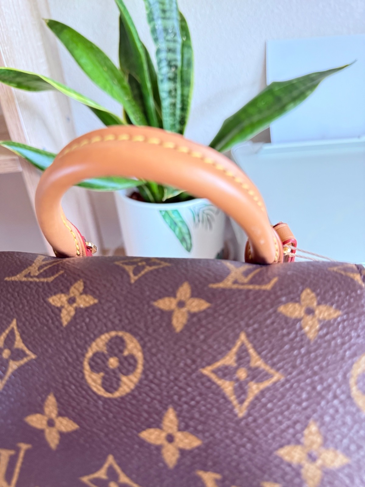 Louis Vuitton Montsouris PM Monogram Canvas Backpack