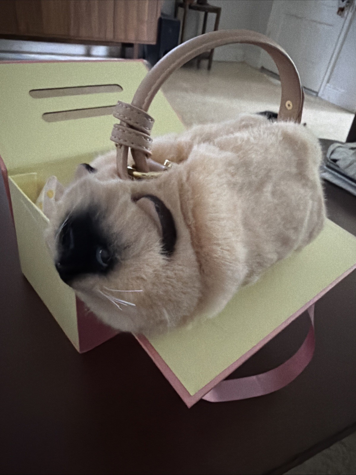 Maotaimeng beautiful Siamese cat purse with storage box