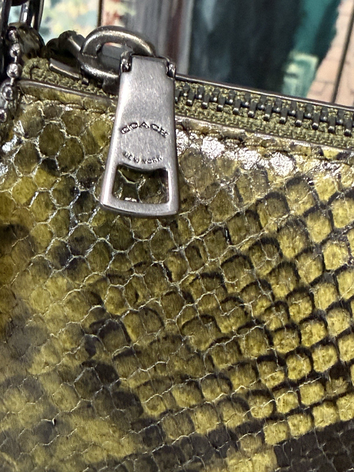 NWT Coach Nolita 19 Shoulder Bag Wristlet Snake Print CCF62 OLIVE MULTI Leather