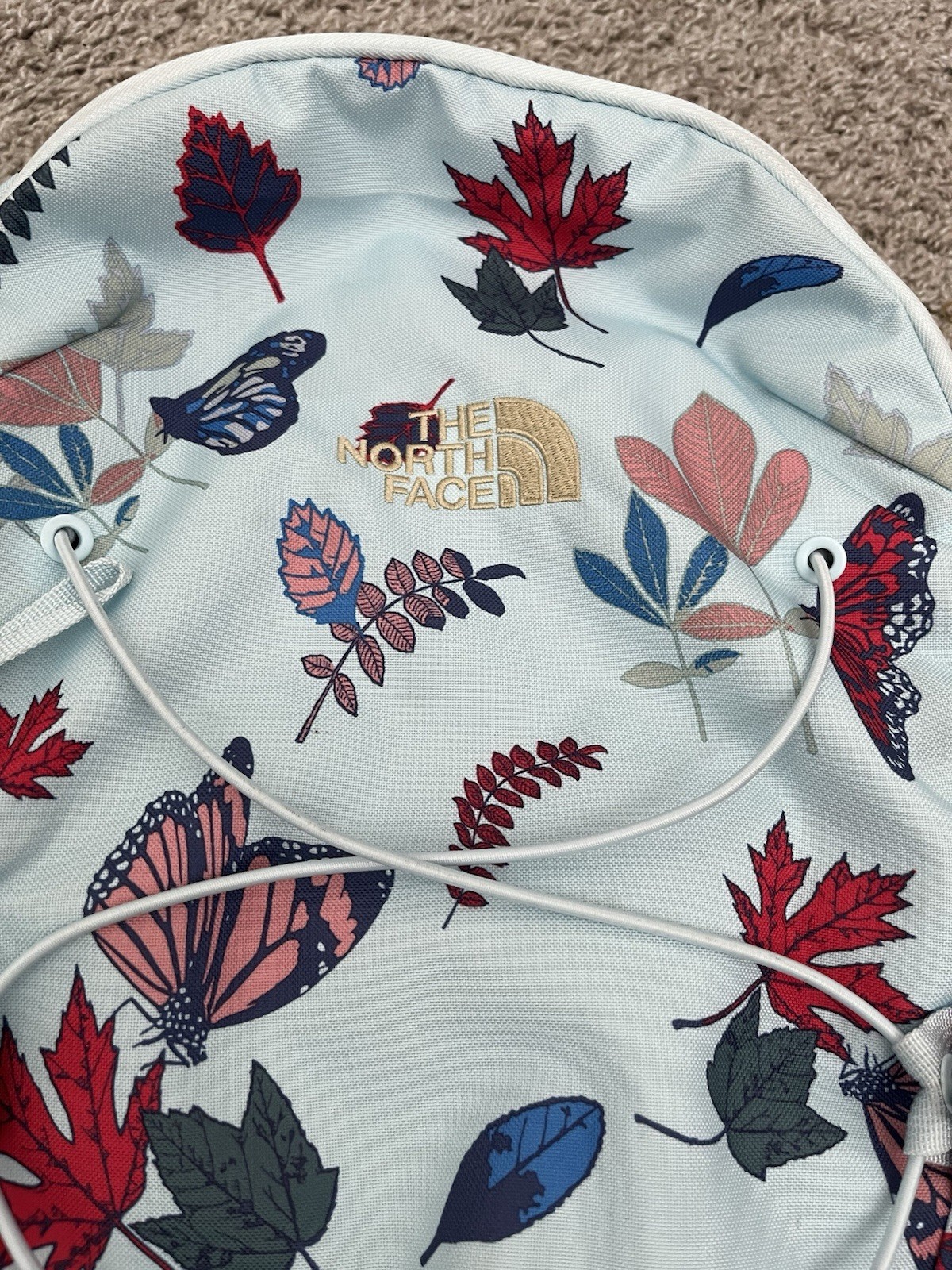 The North Face Jester Backpack Blue Butterfly Leaf Print FlexVent Bag