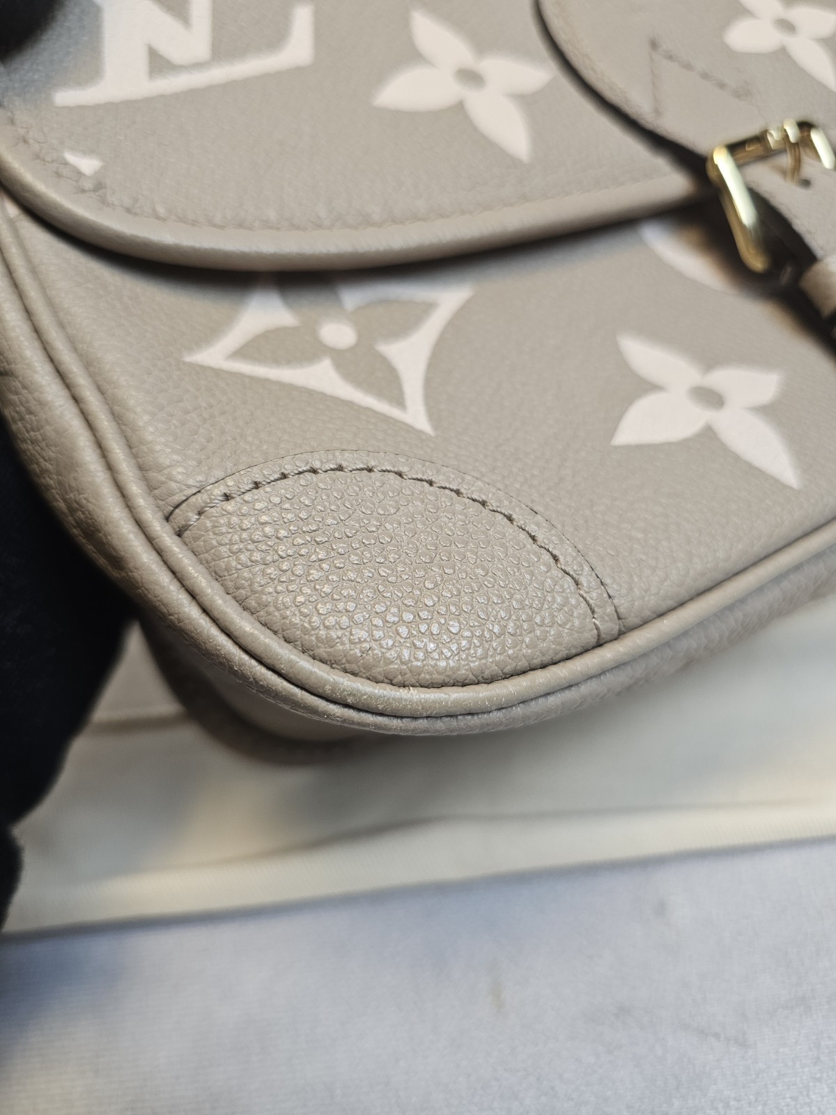 Louis Vuitton Monogram Empreinte Bicolor Turtledove Diane Set
