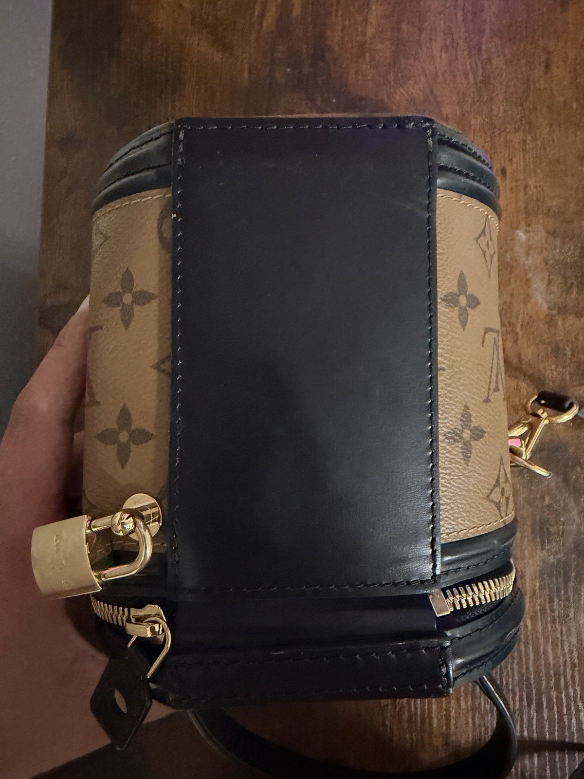Louis Vuitton Cannes Saddle Bag Brown Canvas