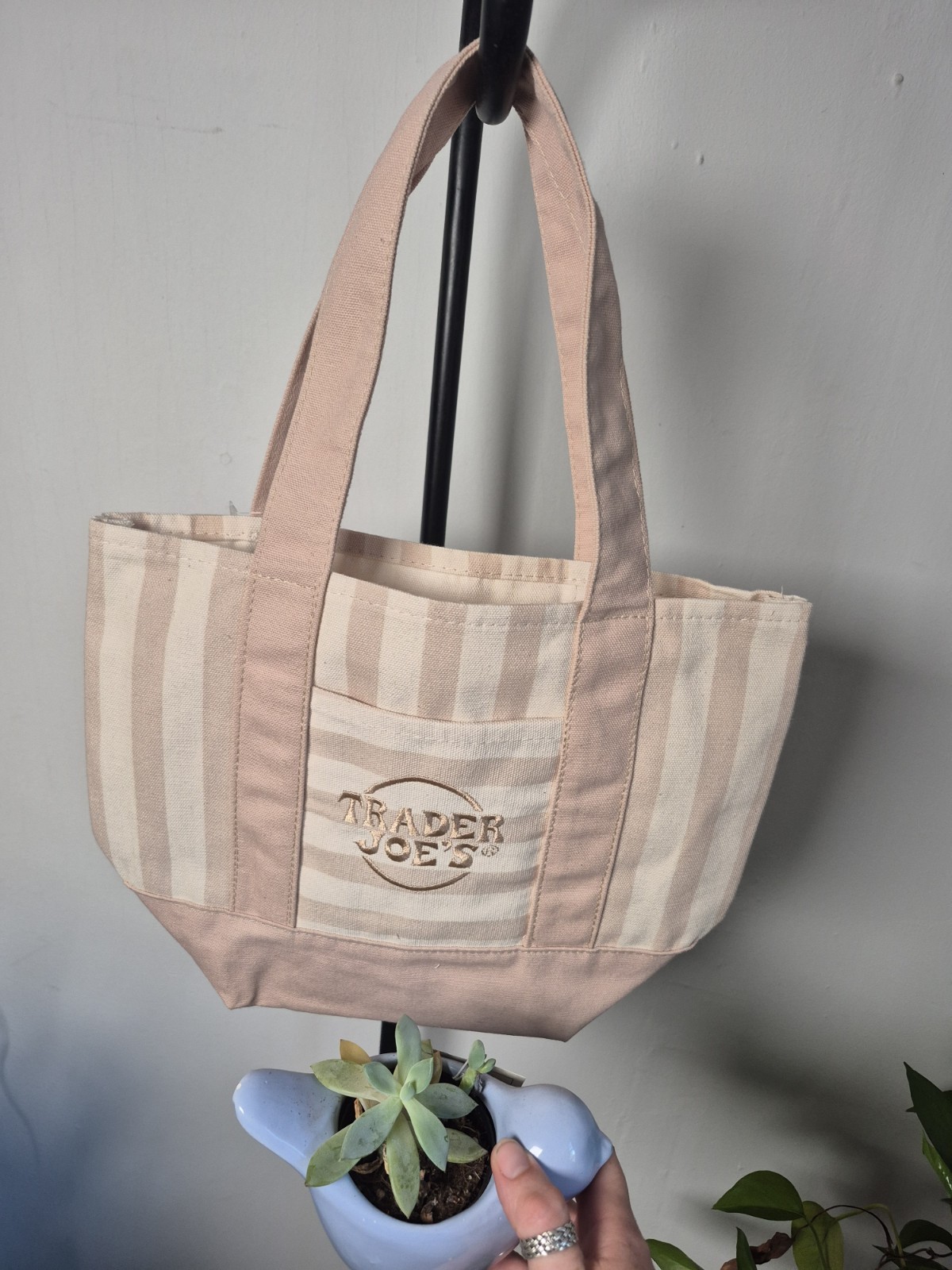 Trader Joe’s Mini Pastel Stripe Canvas Tote Bag Limited Edition (Beige)