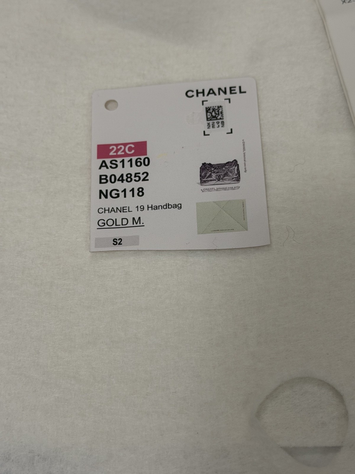 Chanel 19 Flap Bag Medium Pastel Green 22C (2022 Cruise) FULL SET w/ Box