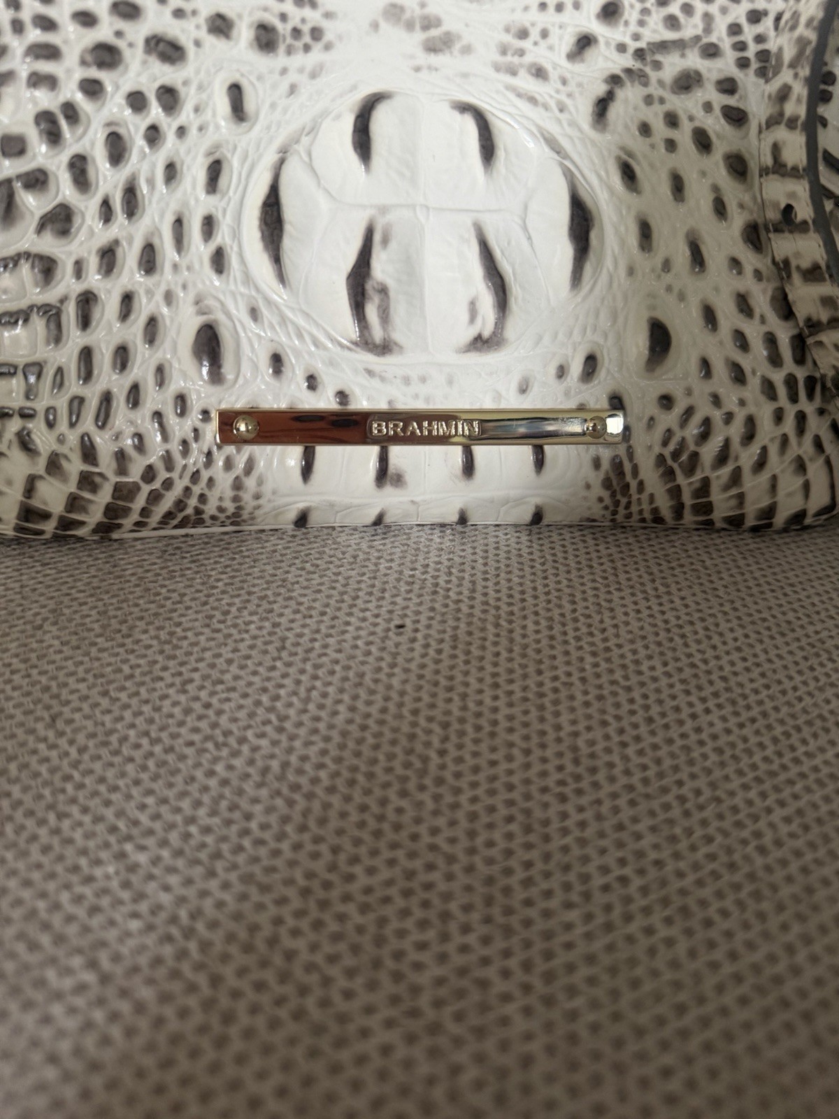 Beautiful Brahmin Handbag