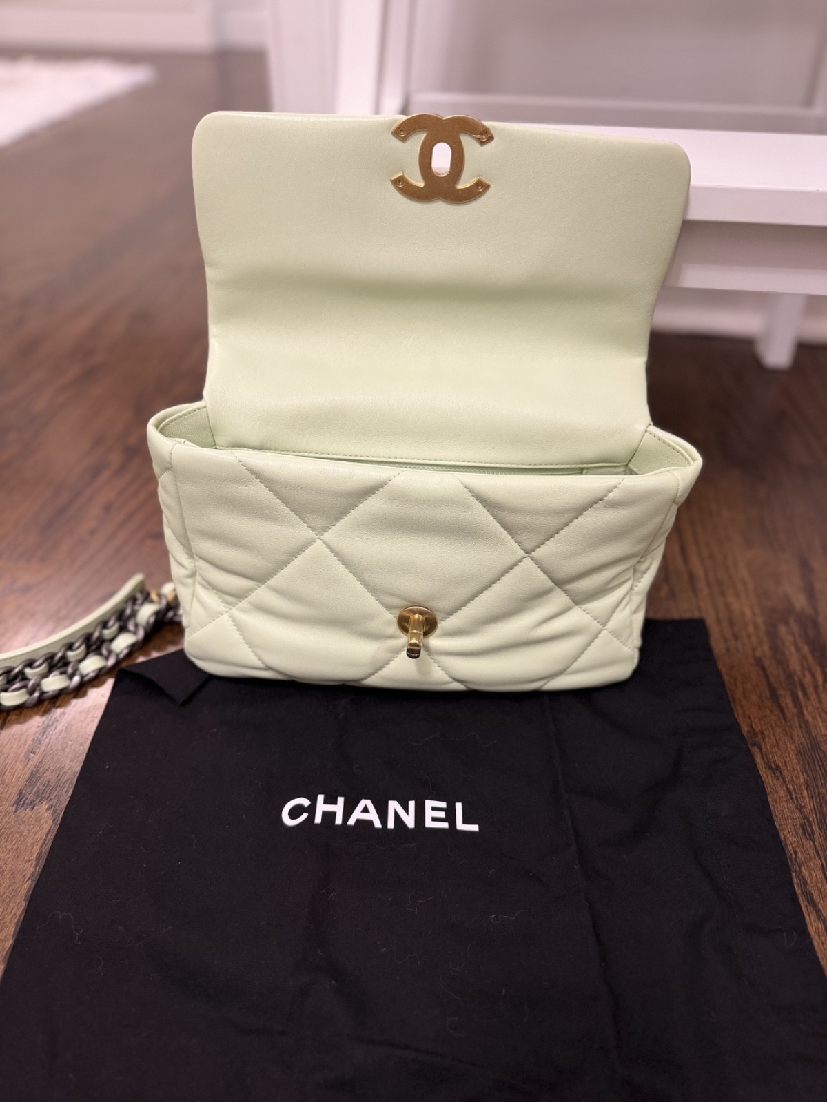 Chanel 19 Flap Bag Medium Pastel Green 22C (2022 Cruise) FULL SET w/ Box