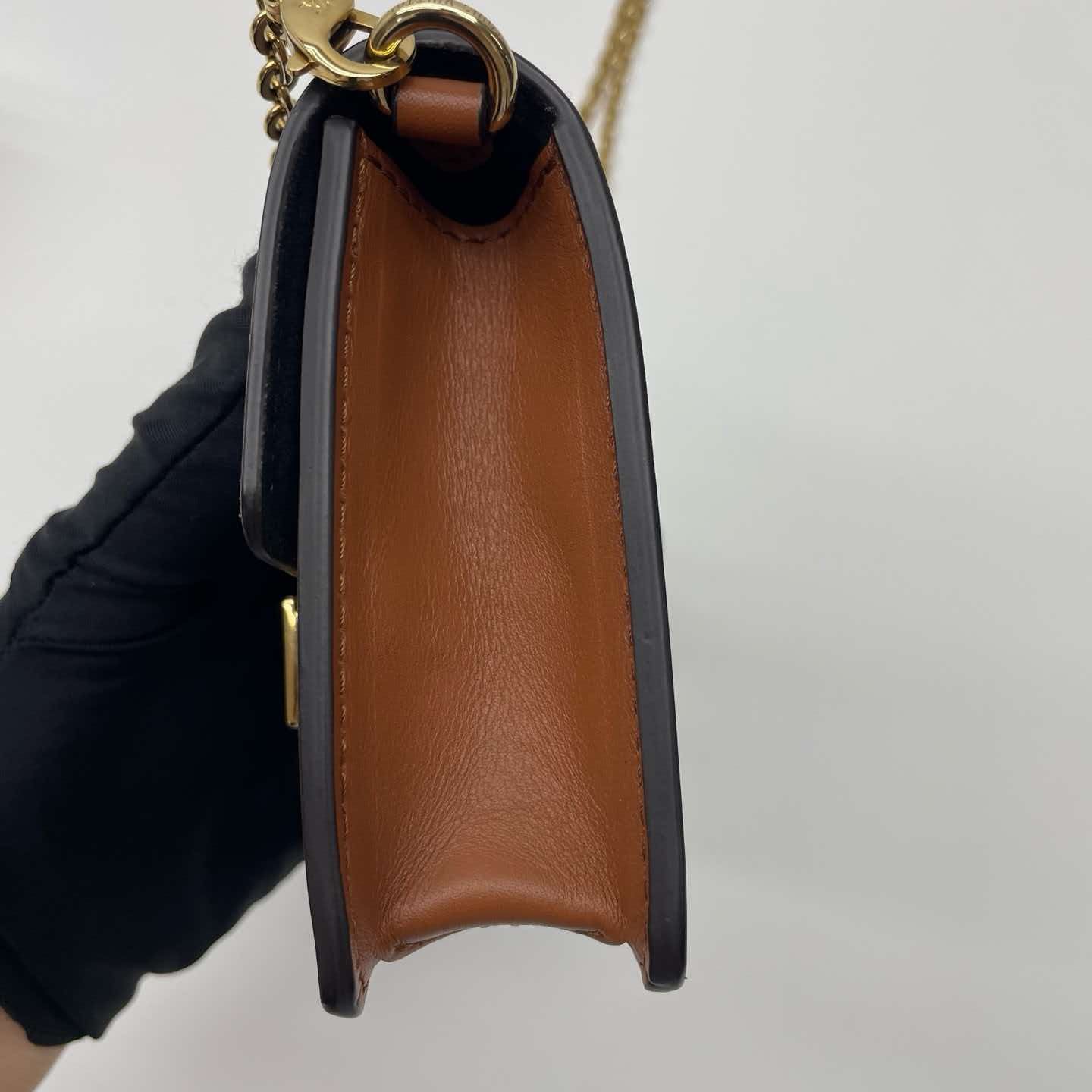Louis Vuitton Dauphine Chain Wallet Monogram Reverse Canvas Shoulder Bag