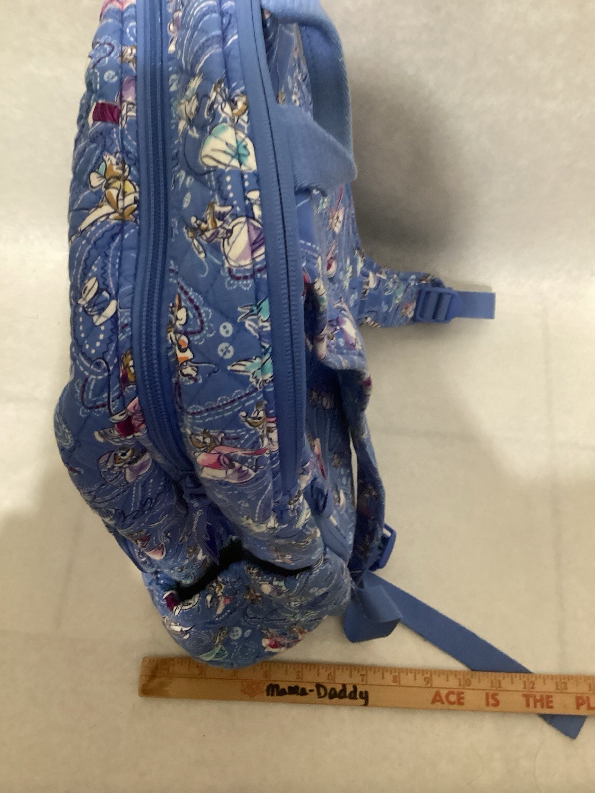 Vera Bradley Disney Campus Backpack Bag Cinderella Paisley Friends