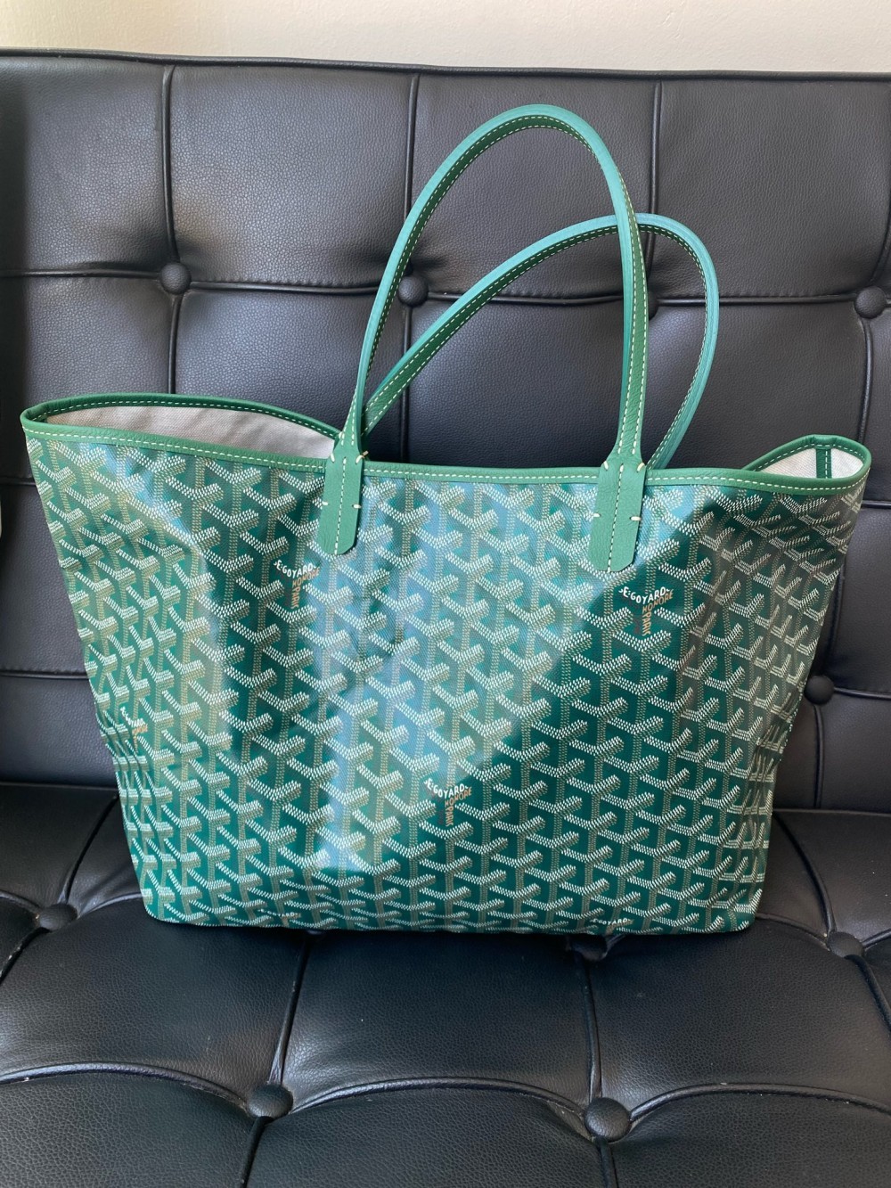 Goyard anjou St Louis PM Green presbyopia small tote bag
