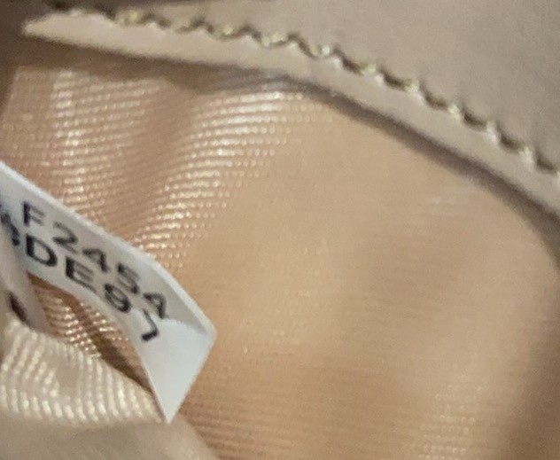 NWT Coach Mini Ivory Wallet On A Chain With Goldtone Heart Rivets CDE97