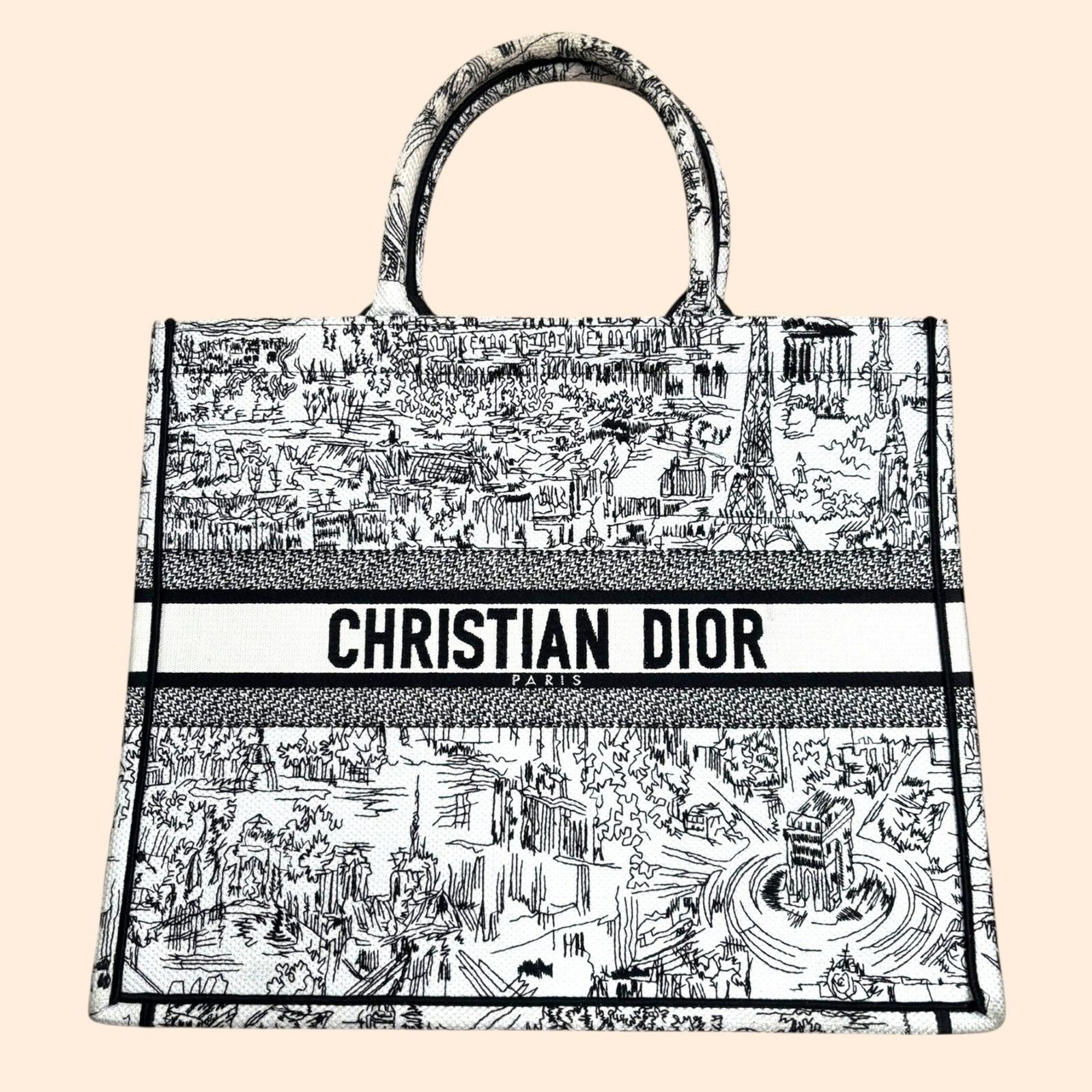 Christian Dior Book Tote Plan de Paris Bag