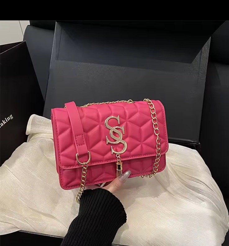Women Pink Quilted Crossbody Bag, Gold Chain Strap, Front Logo Tassel