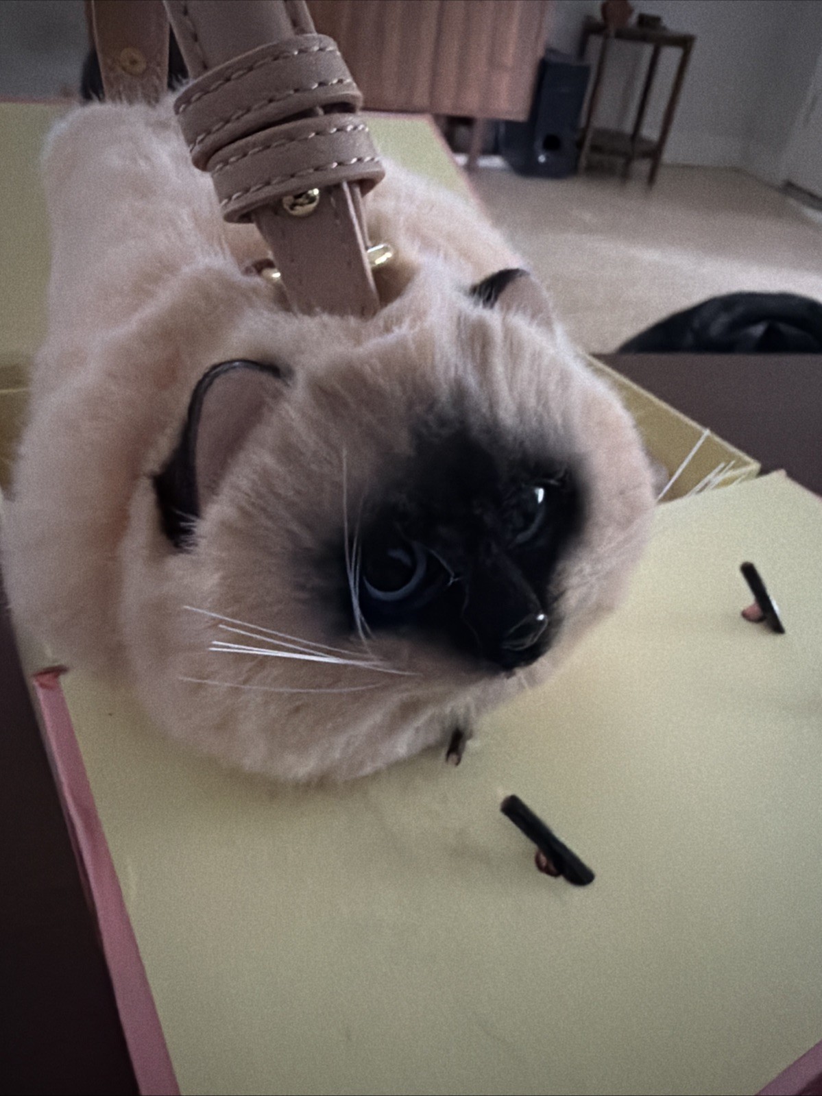 Maotaimeng beautiful Siamese cat purse with storage box
